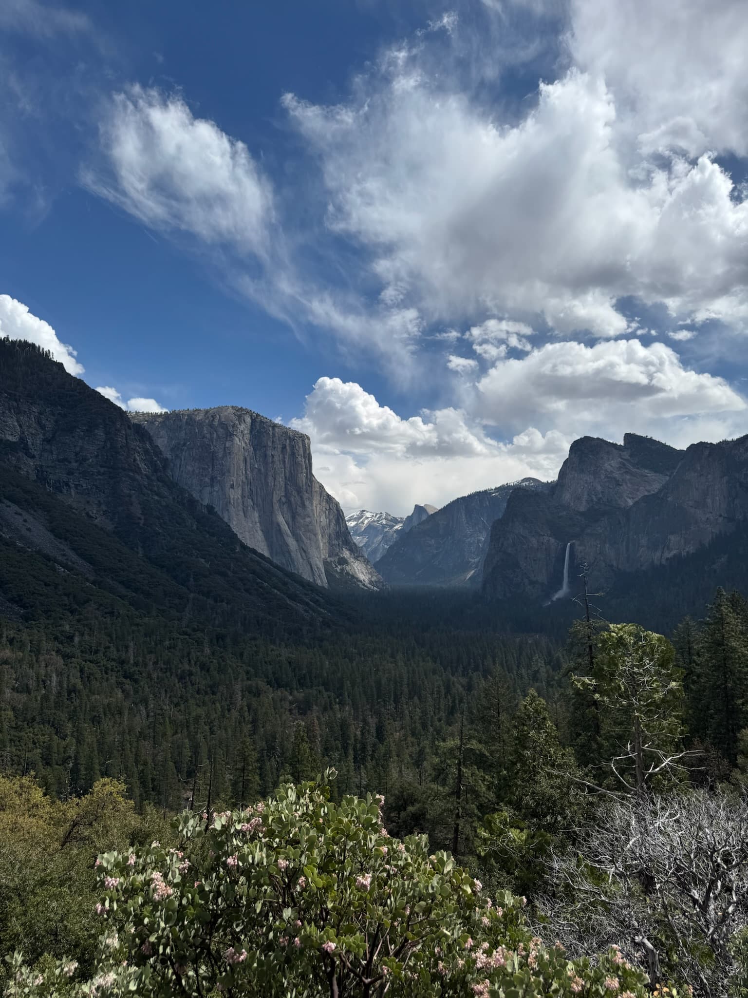 Paisagem em Yosemite National Park